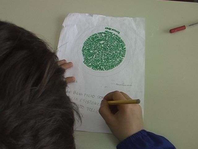 Progetto Mandala Verde